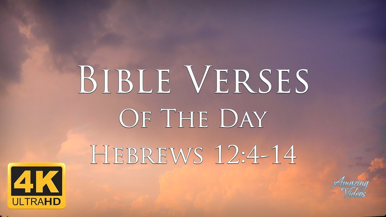 Bible Verse Of The Day: Matthew 10:27-33