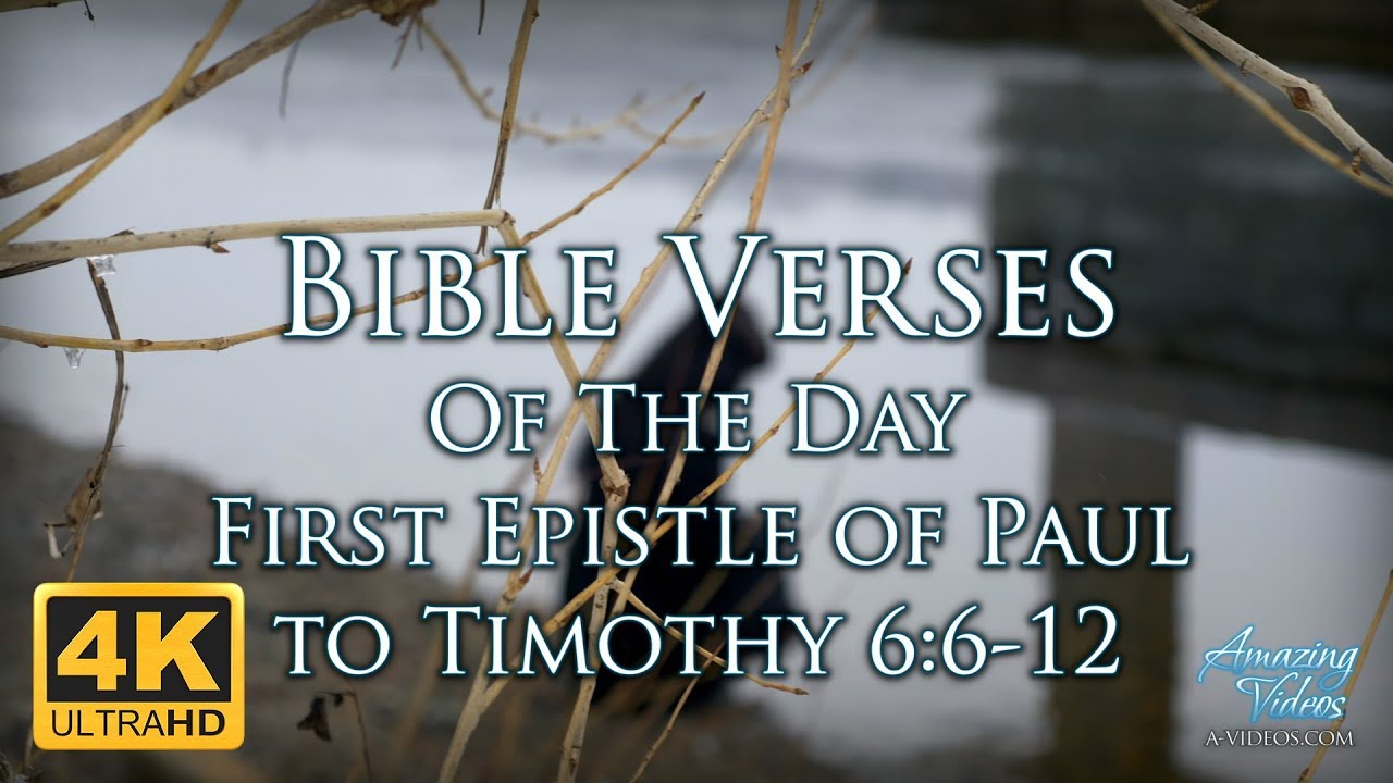 Bible Verses Of The Day: 1 Timothy 6:6-12
